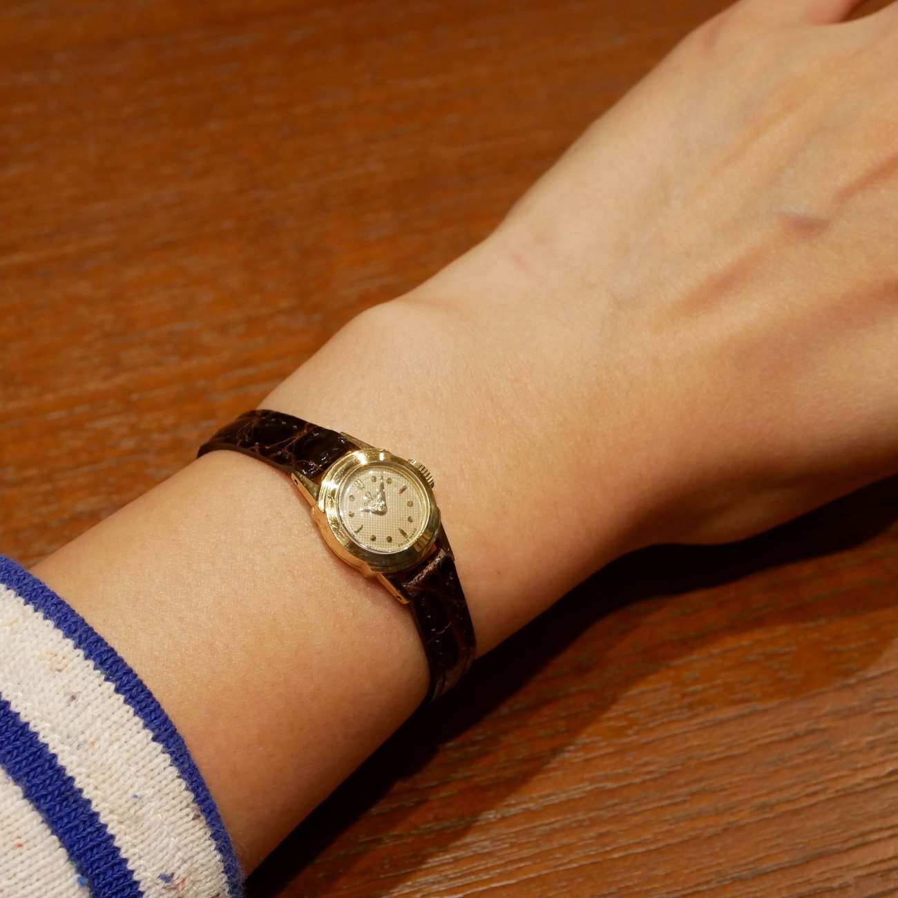 OMEGA ROUND MODEL