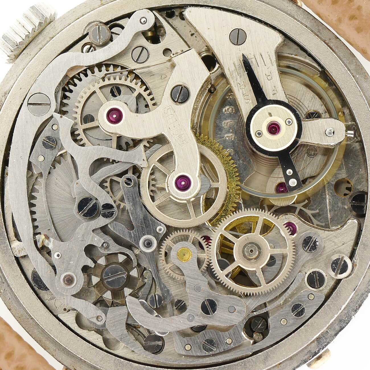 ANGELUS CHRONODATO
