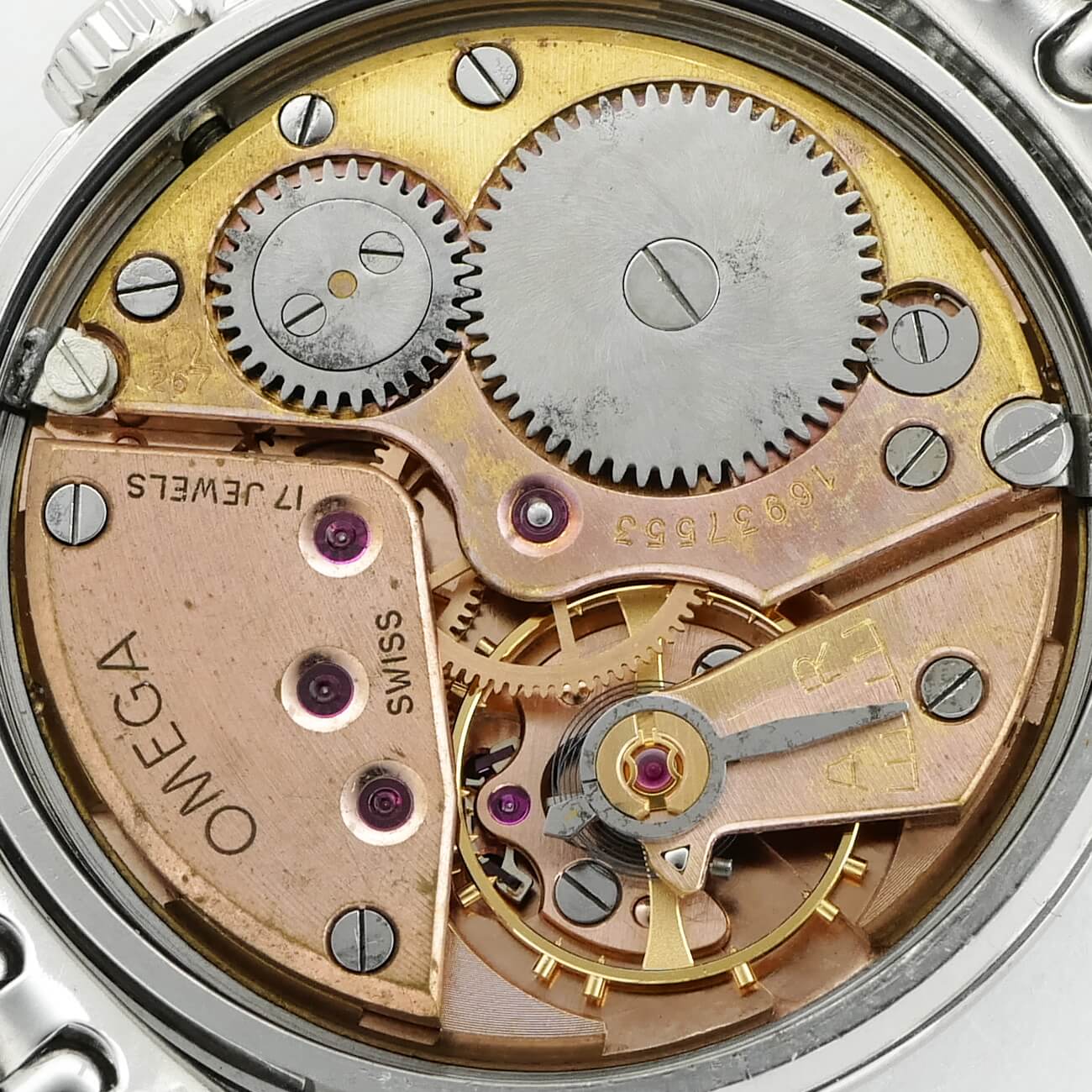 OMEGA RANCHERO