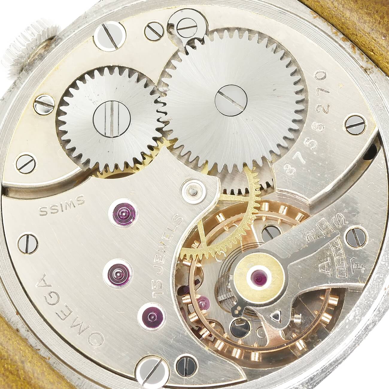 OMEGA CUSHION MODEL