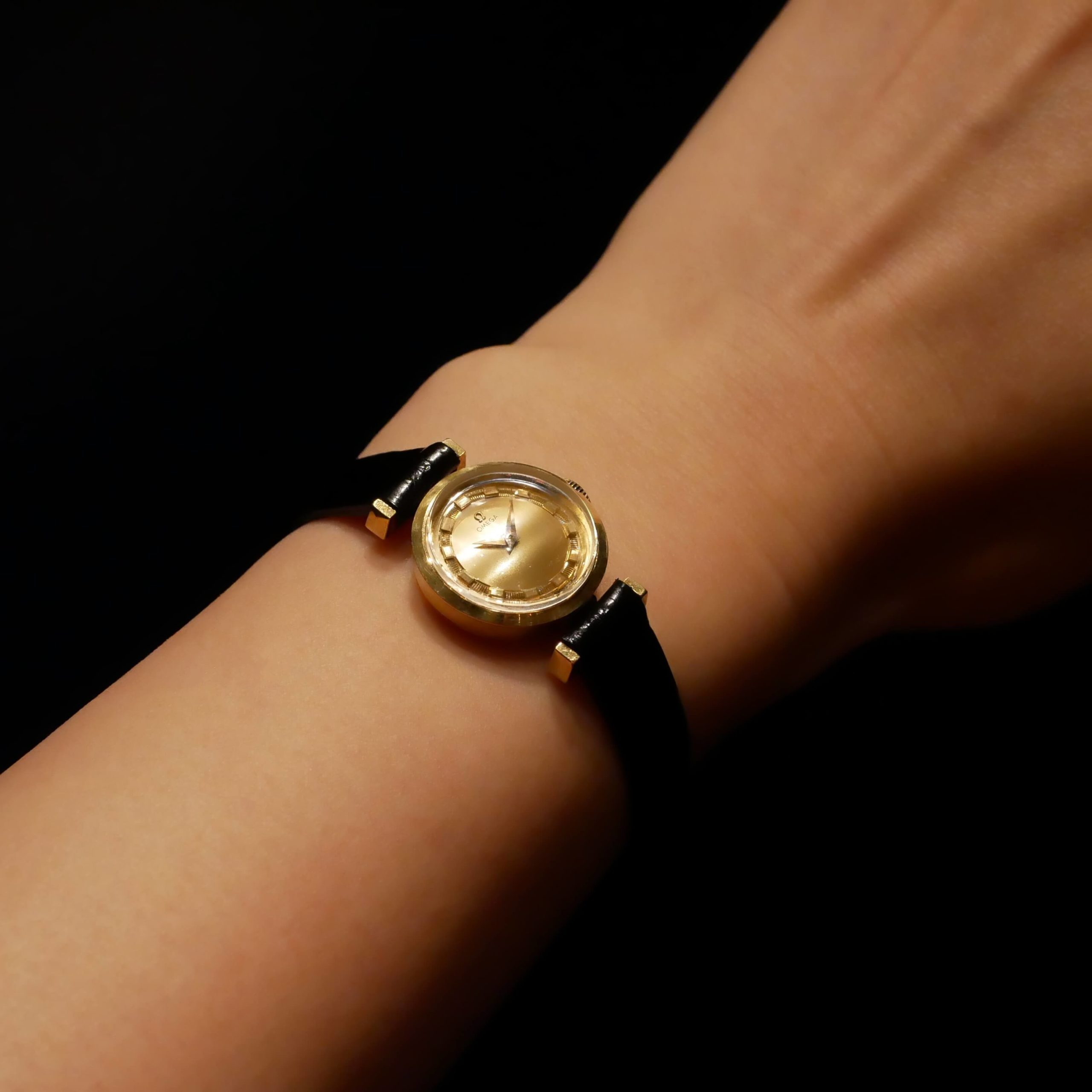 OMEGA ROUND MODEL