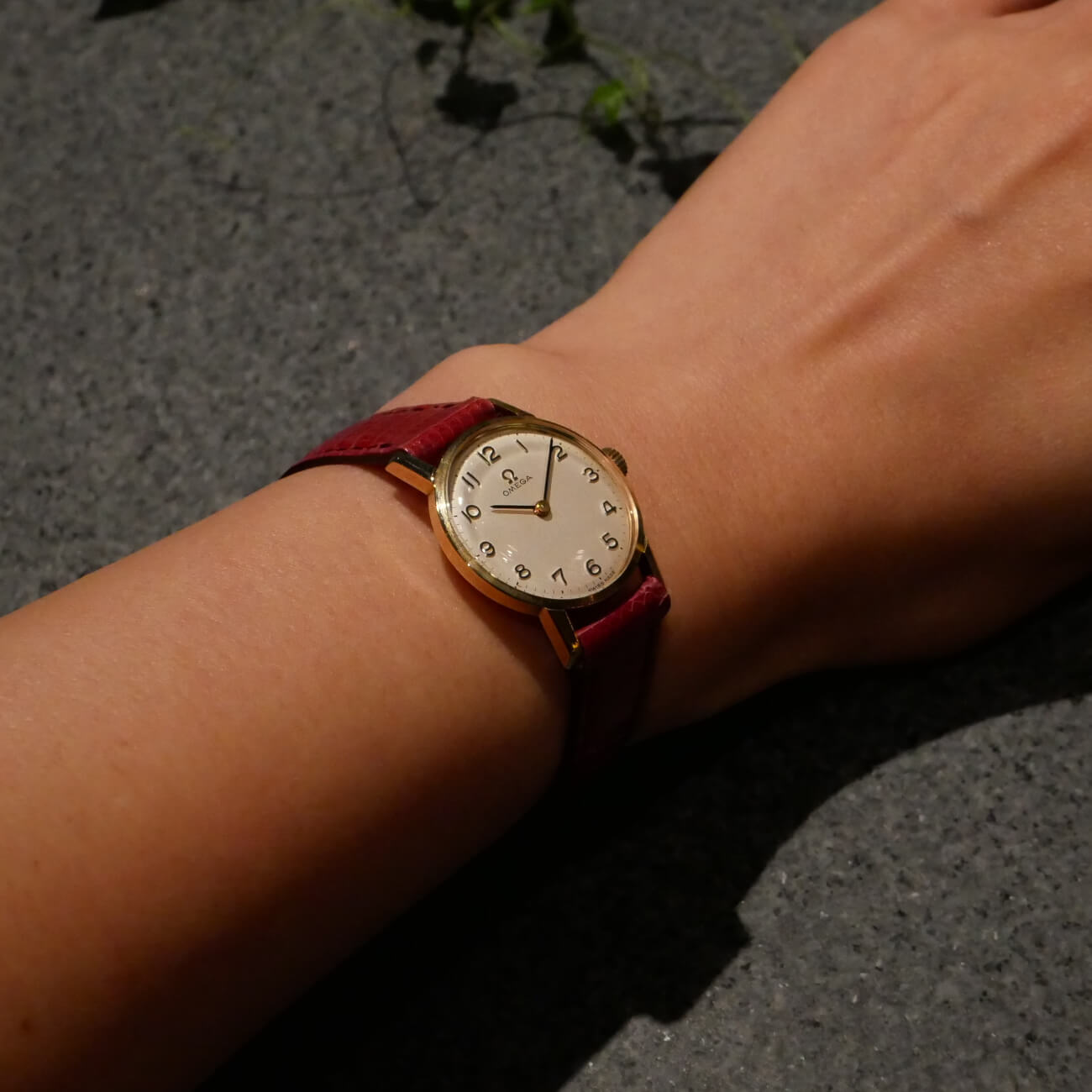 OMEGA ROUND MODEL