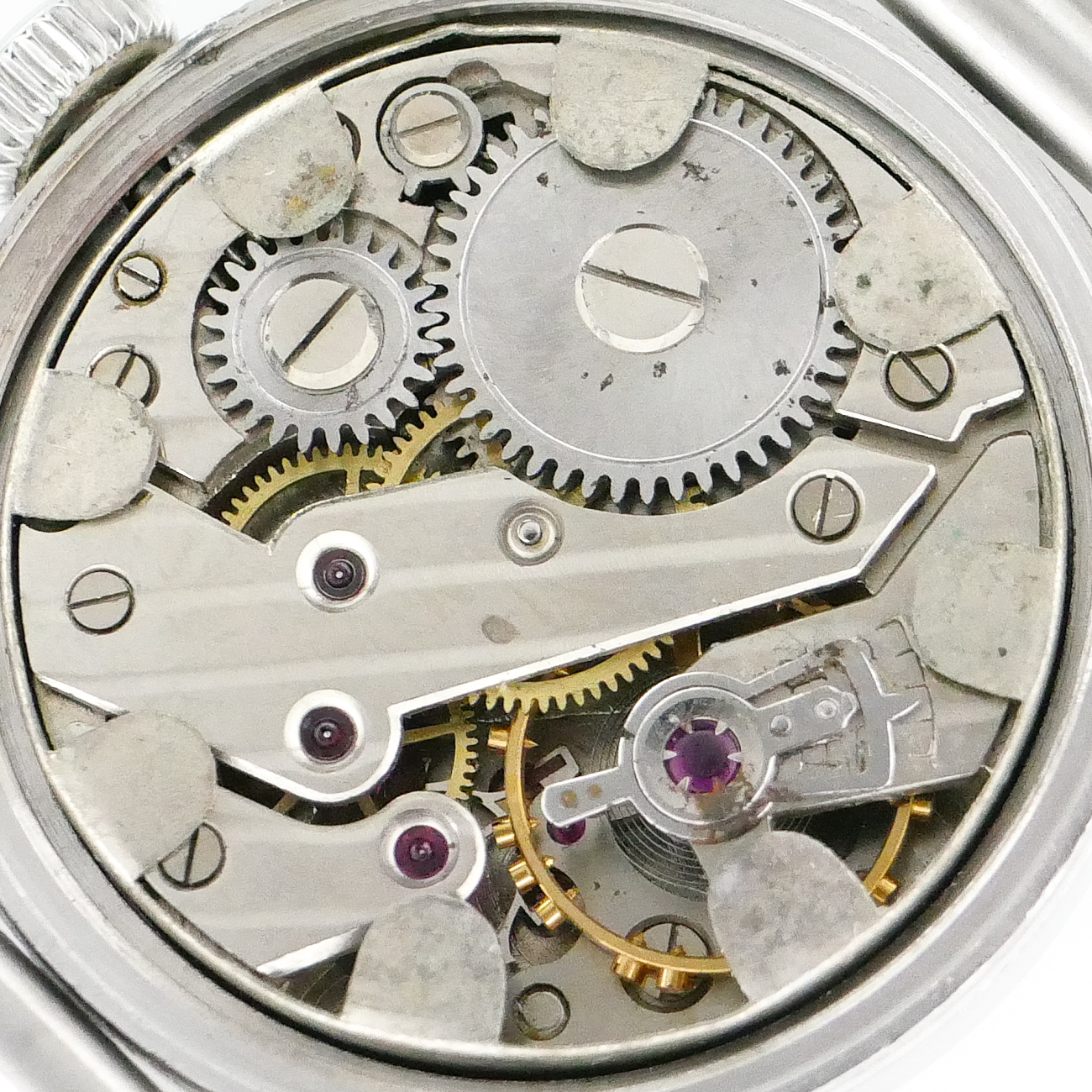 ALPINA(FESTA) ROUND MODEL