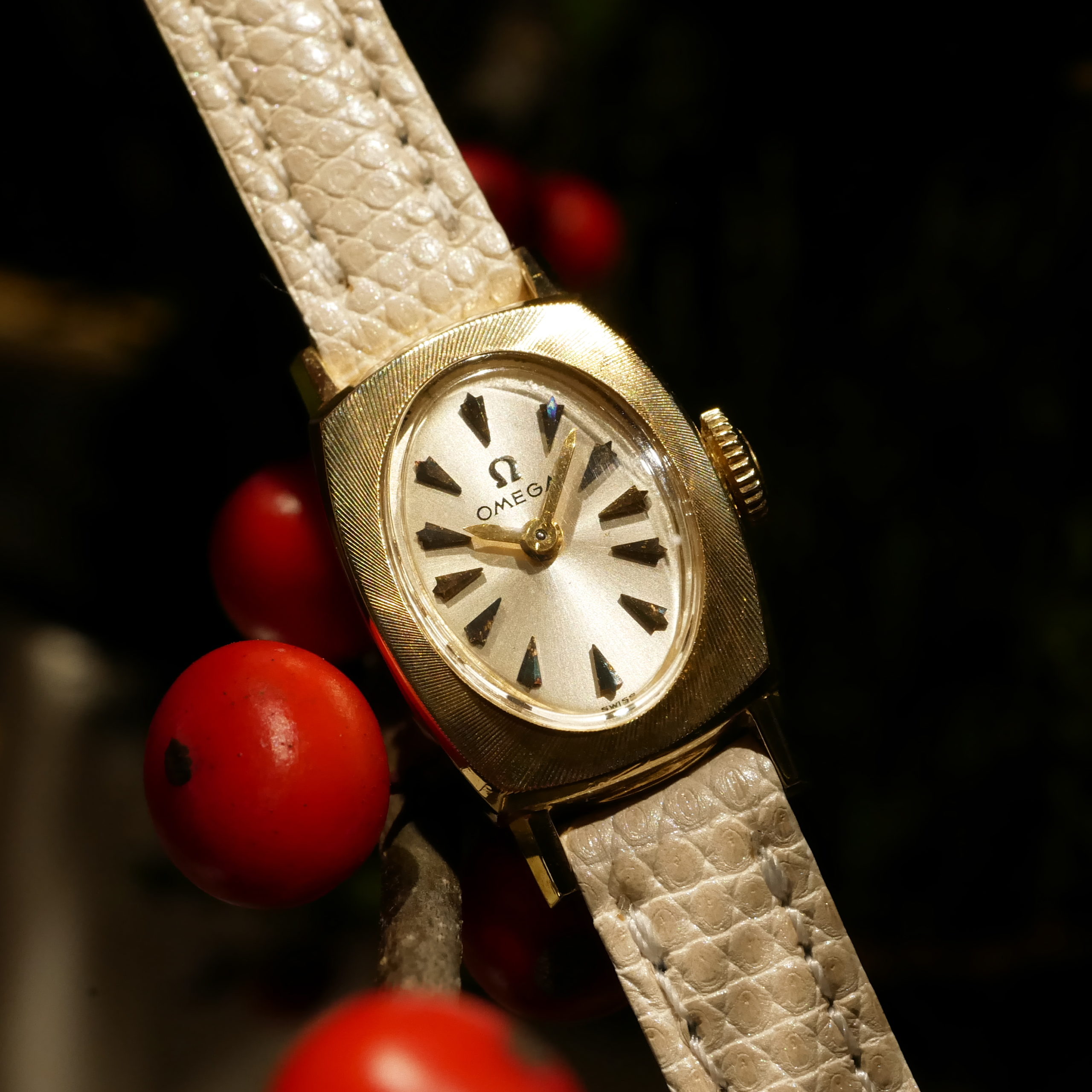 OMEGA RECTANGLE MODEL