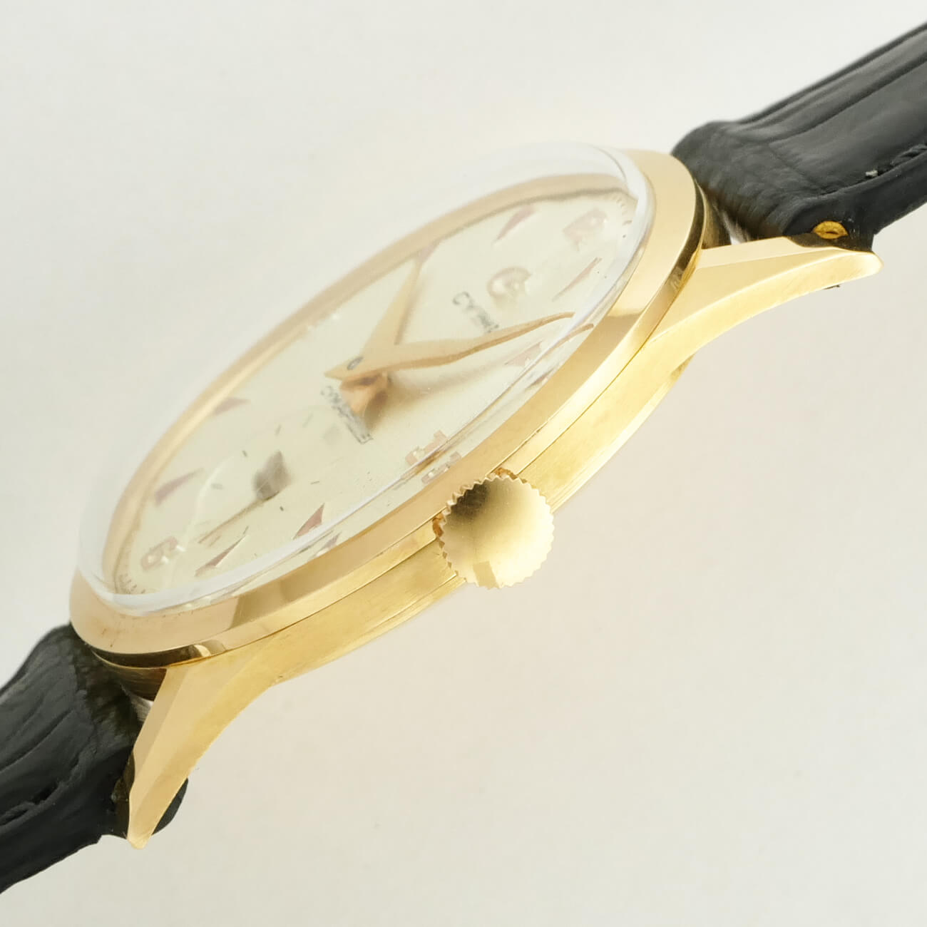 CYMA ROUND MODEL