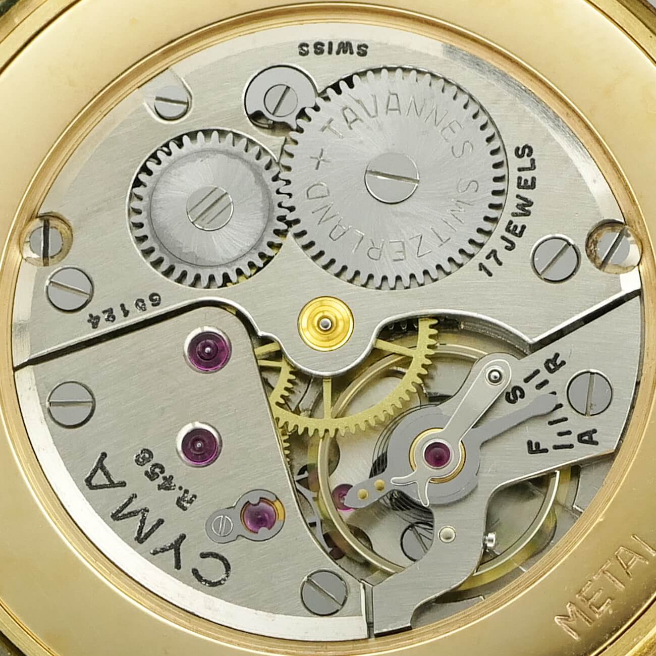 CYMA ROUND MODEL