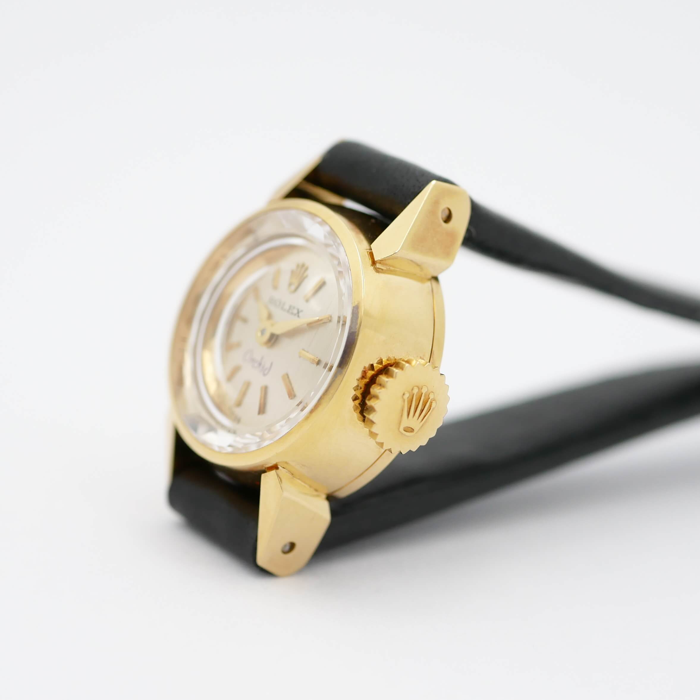 ROLEX Orchid