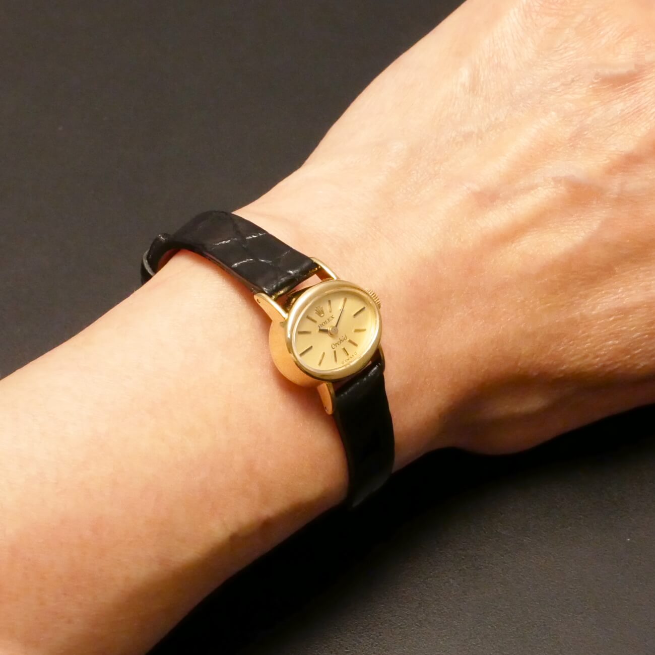 ROLEX Orchid