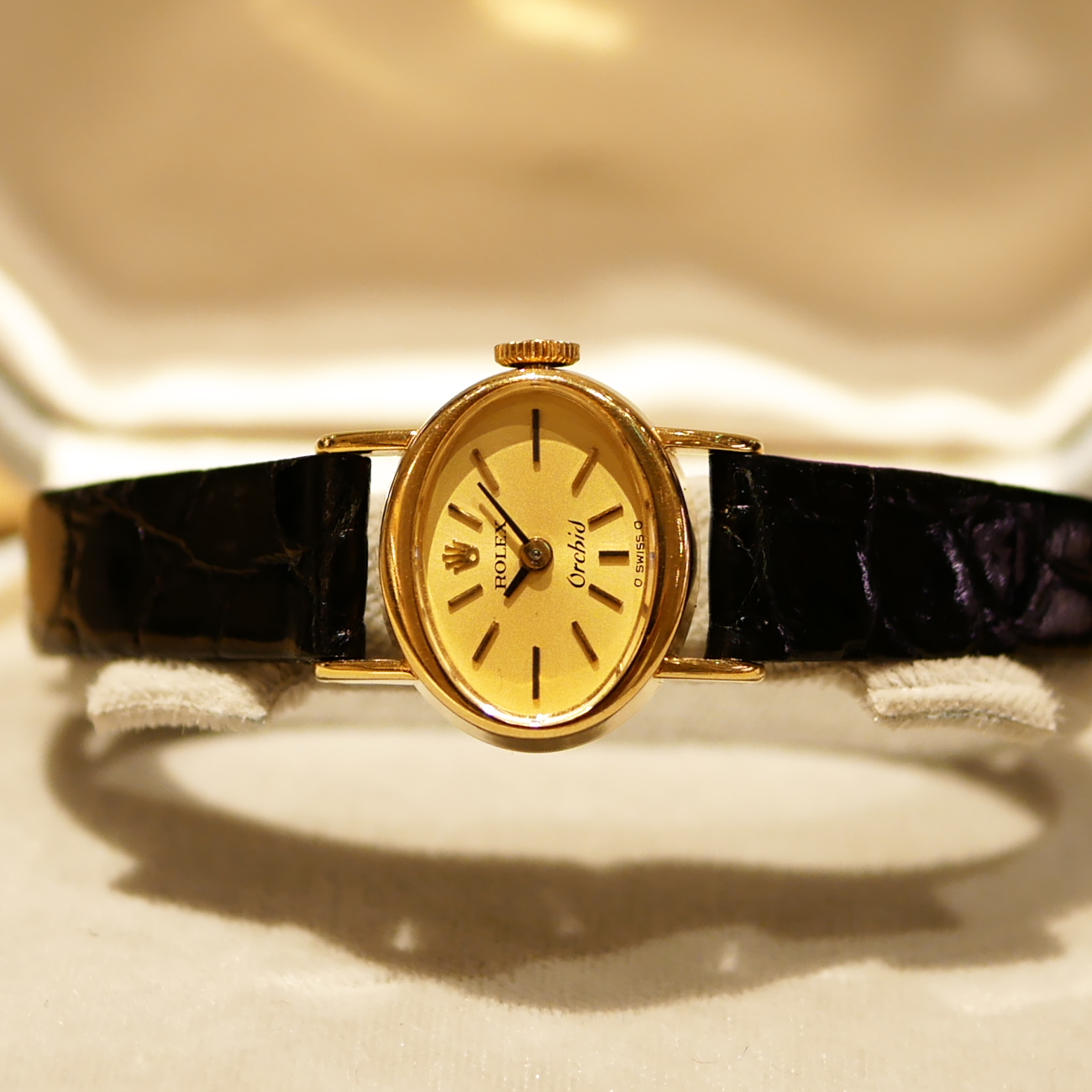 ROLEX Orchid