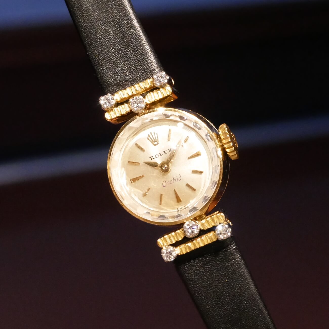 ROLEX Orchid