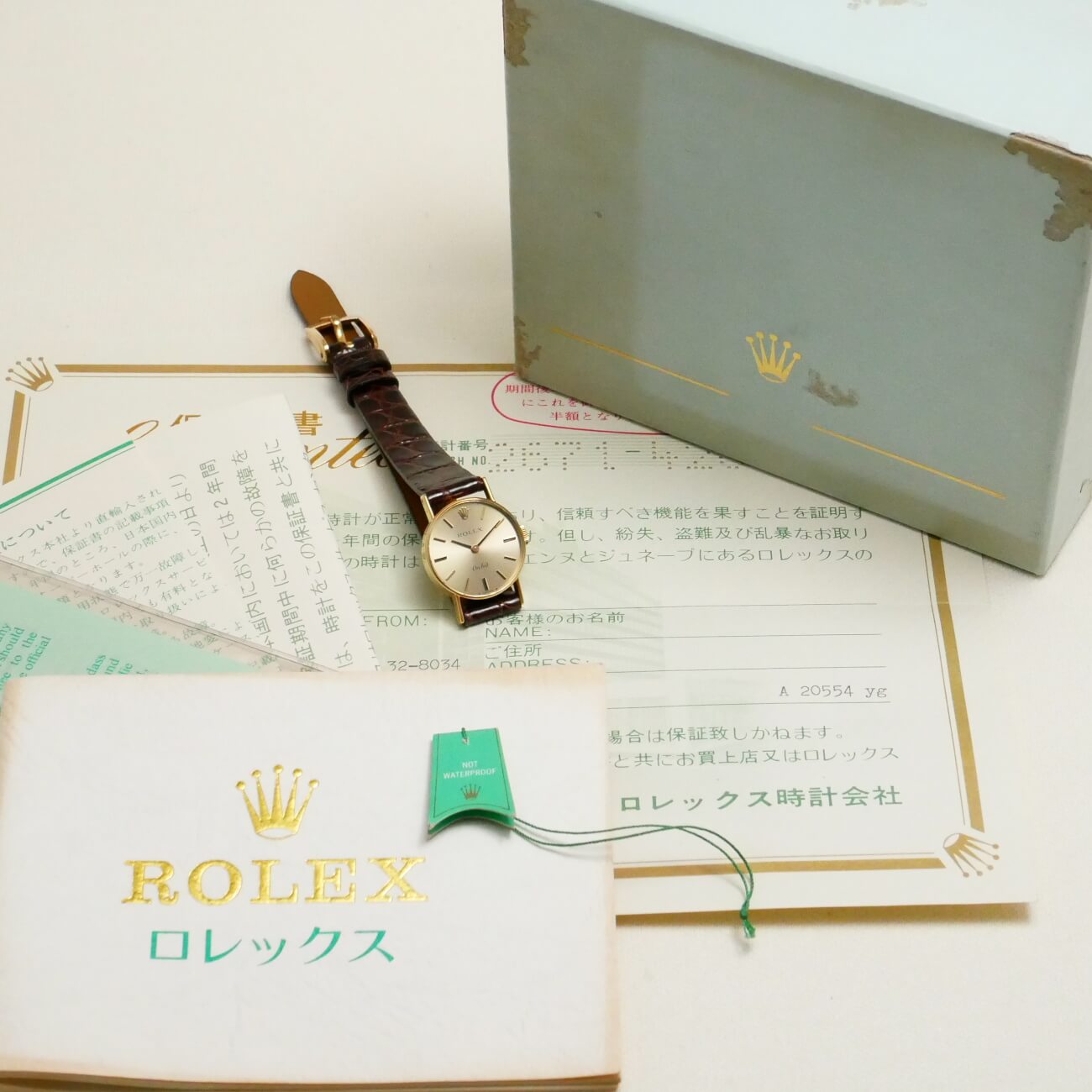 ROLEX ORCHID