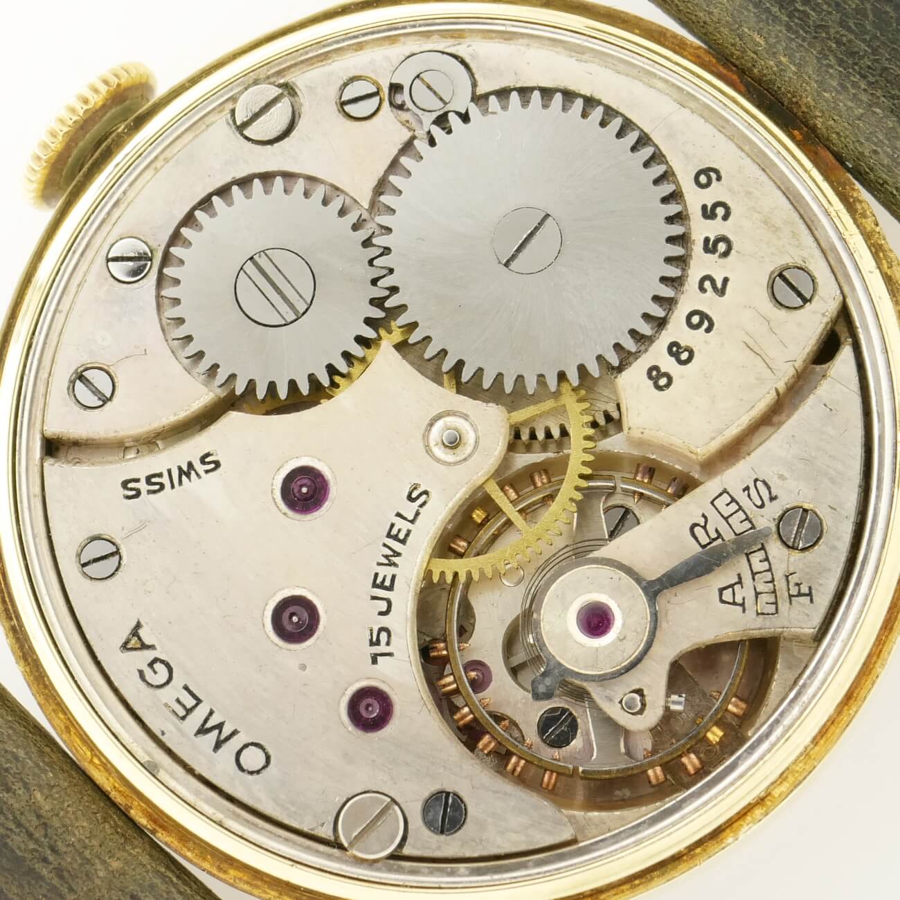 OMEGA ROUND MODEL