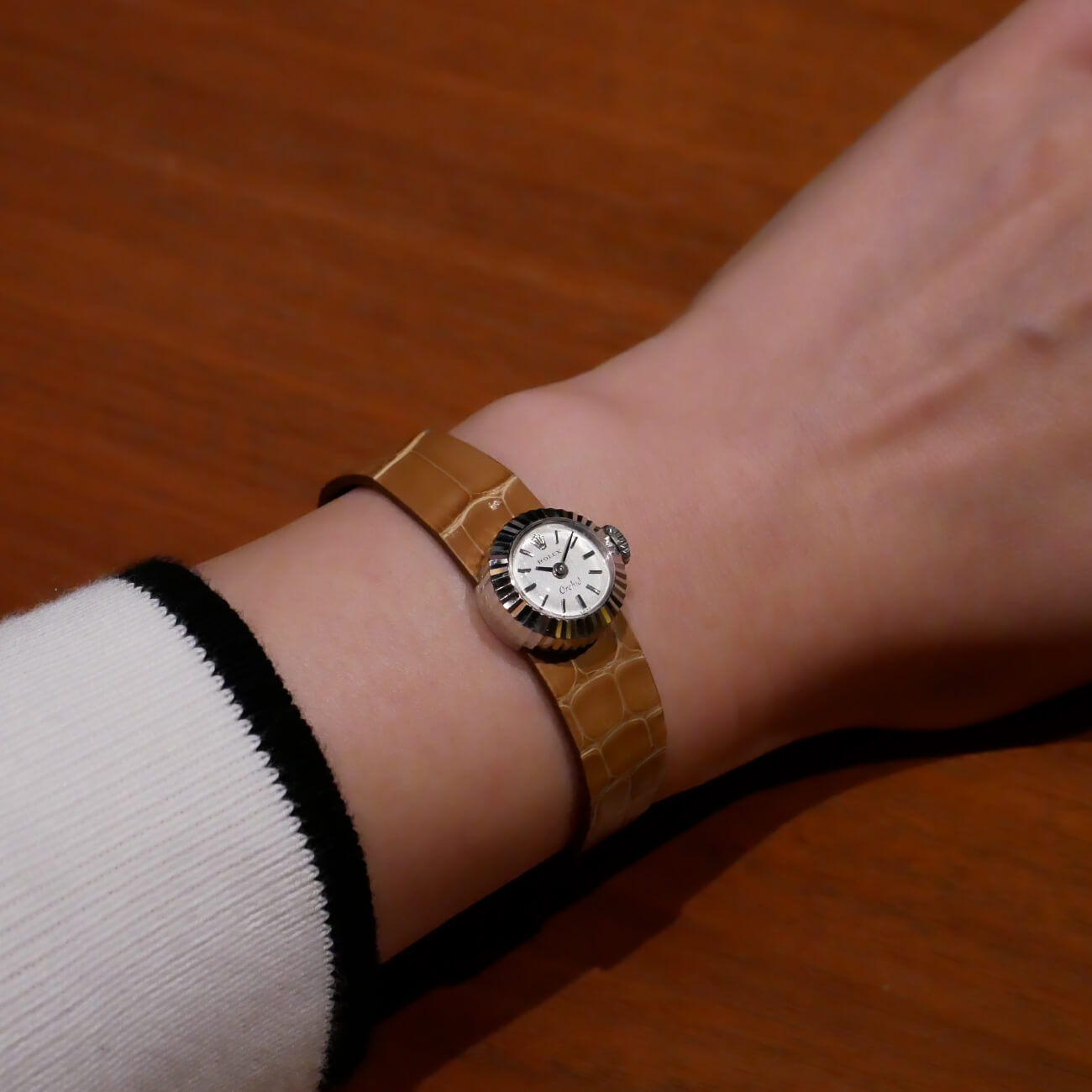 ROLEX CHAMELEON